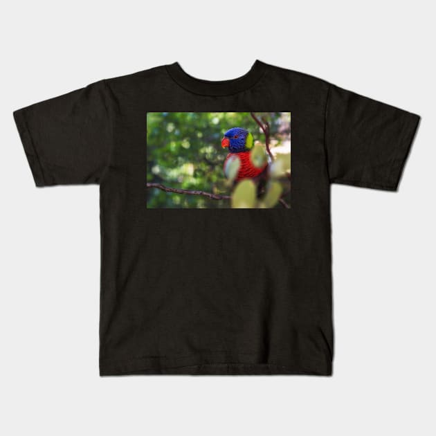 Rainbow Lorikeet in a Tree Kids T-Shirt by JeffreySchwartz